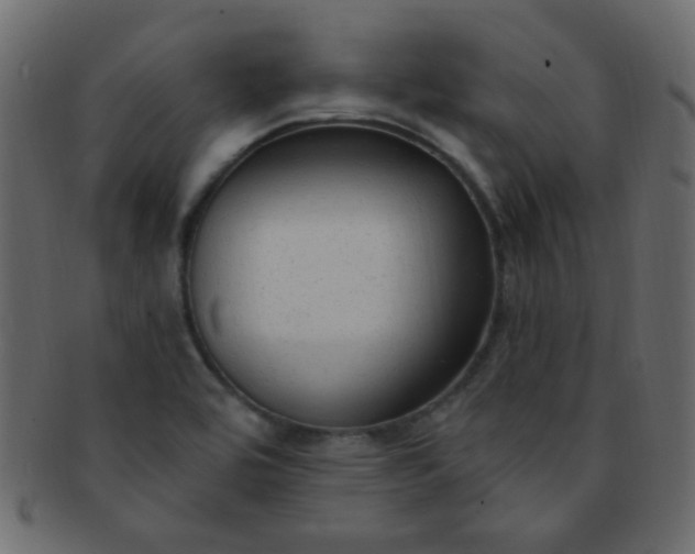 X0000091731464200709071448