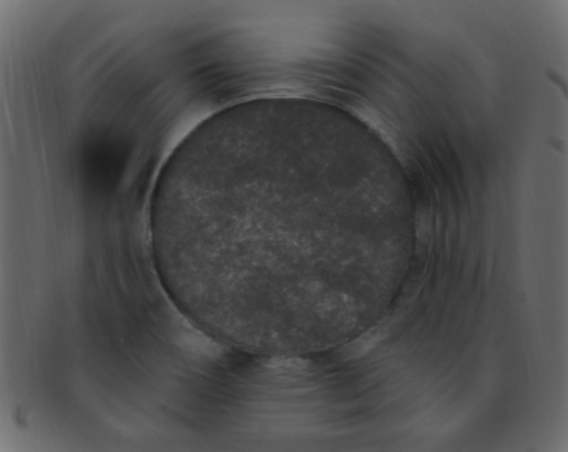 X0000091731466200709071448