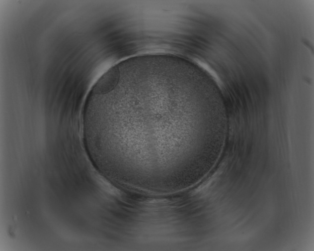 X0000091731467200709071448