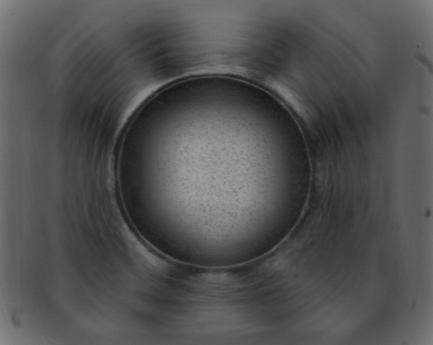 X0000091731468200709071448