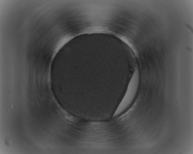 X0000091731469200709071448