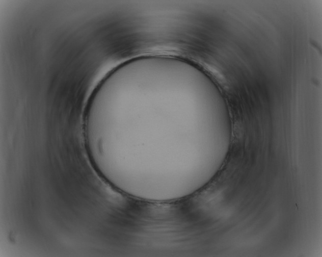 X0000091731470200709071448