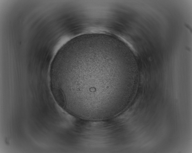 X0000091731471200709071448