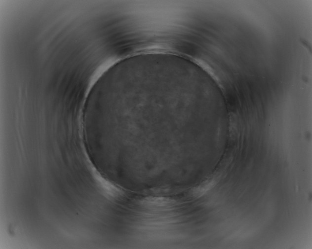 X0000091731474200709071448