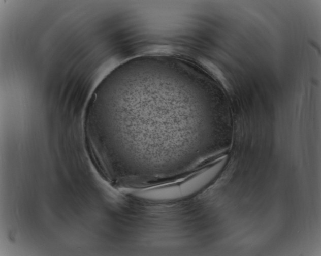 X0000091731475200709071448