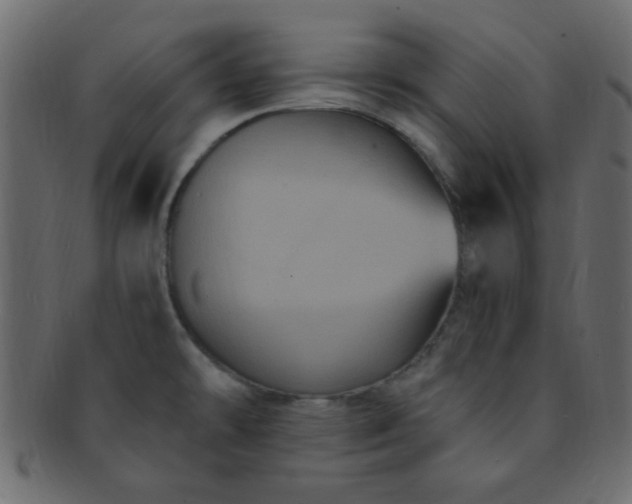 X0000091731478200709071448