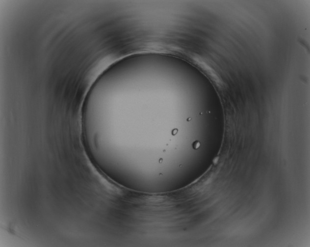 X0000091731479200709071448