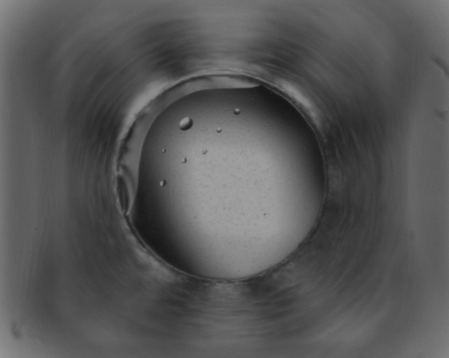 X0000091731480200709071448