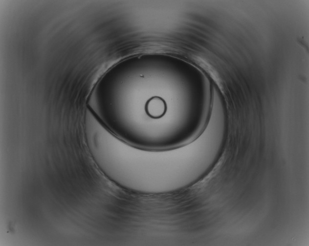 X0000091731481200709071448