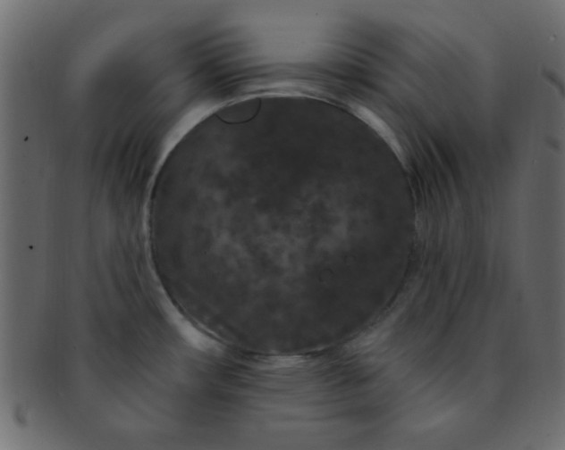 X0000091731482200709071448