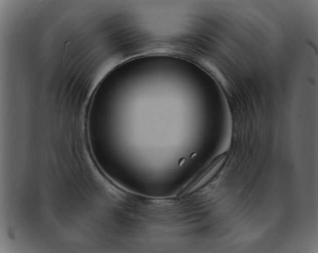 X0000091731483200709071448