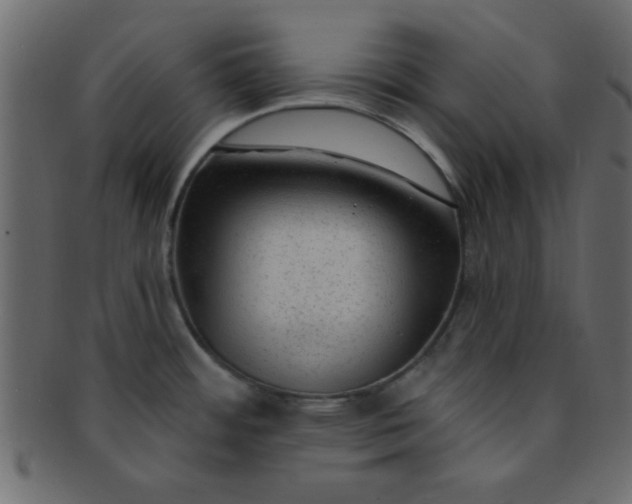 X0000091731484200709071448