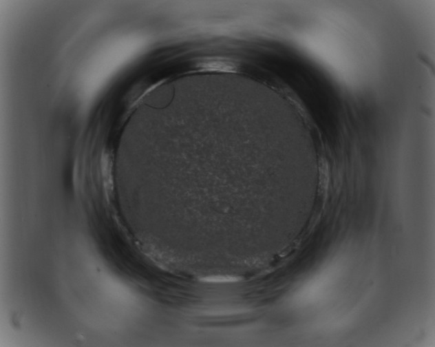 X0000091731487200709071448