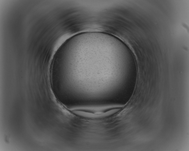 X0000091731488200709071448