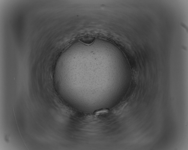 X0000091731489200709071447