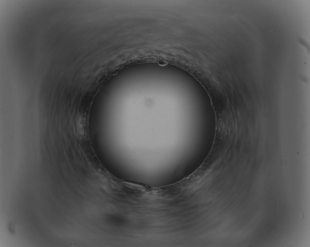 X0000091731490200709071447