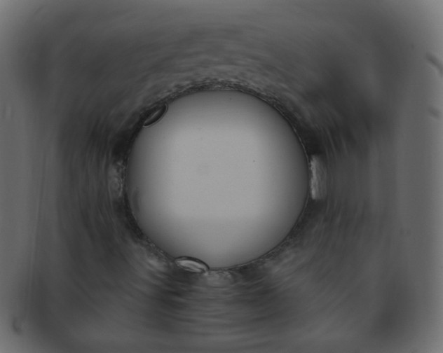 X0000091731491200709071447