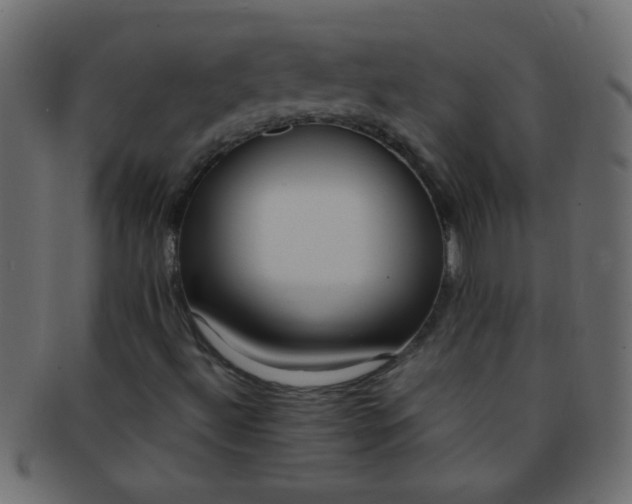 X0000091731492200709071447