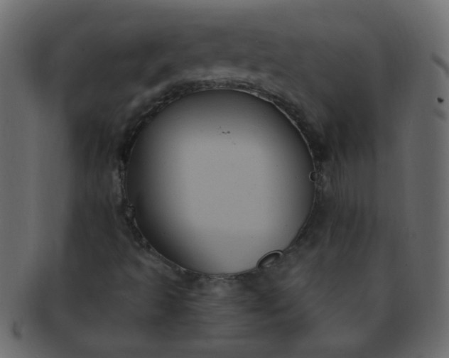 X0000091731493200709071447