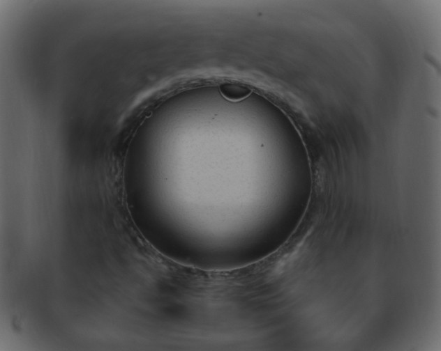 X0000091731494200709071447