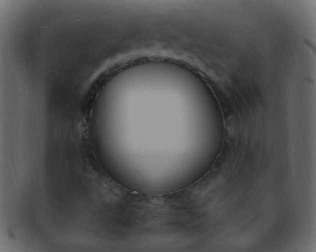 X0000091731495200709071447