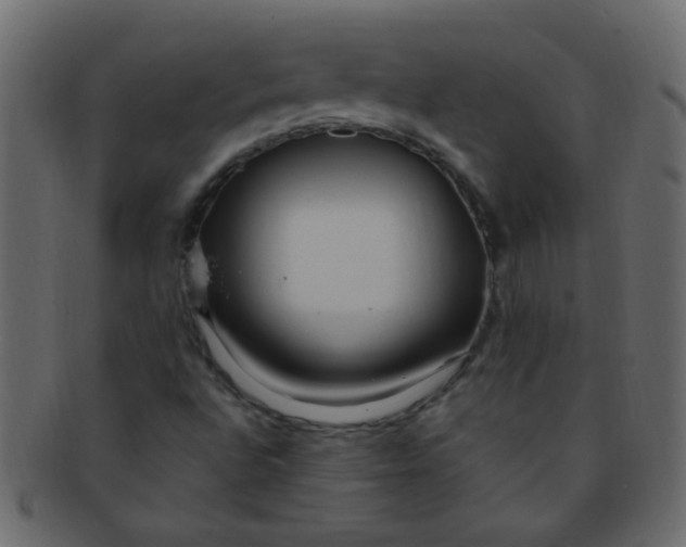 X0000091731496200709071447