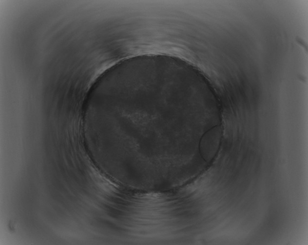 X0000091731497200709071447