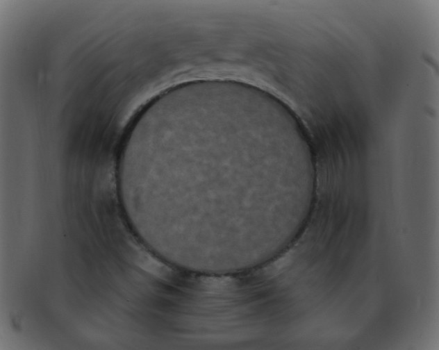 X0000091731498200709071447