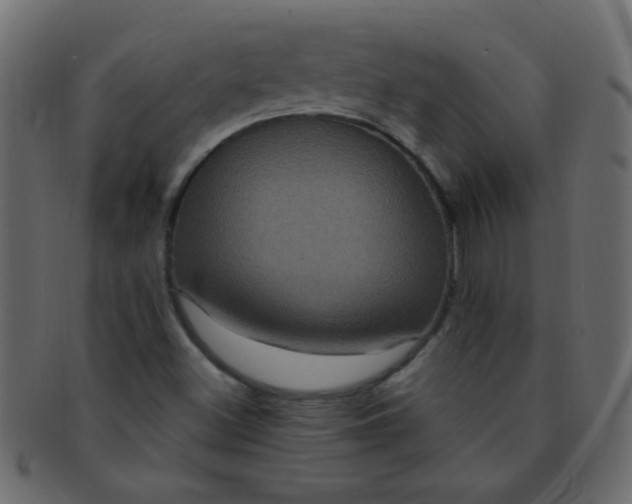 X0000091731500200709071447