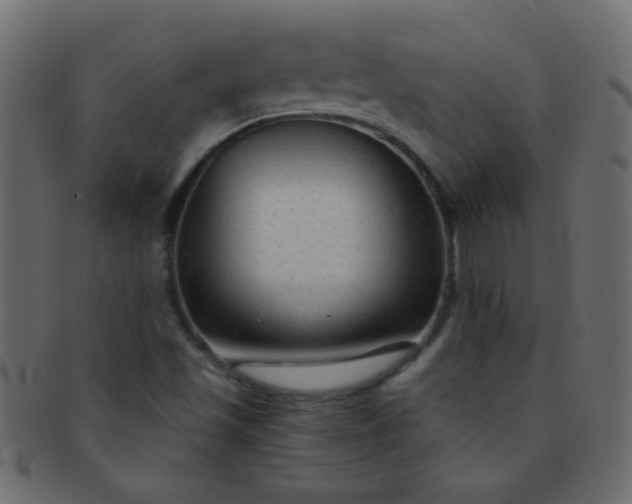 X0000091731501200709071447