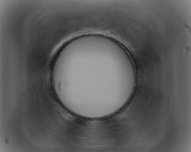 X0000091731502200709071447