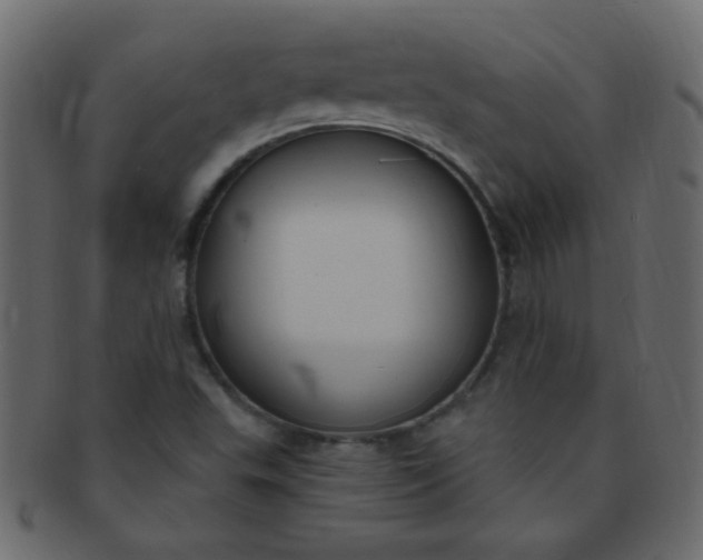 X0000091731503200709071447