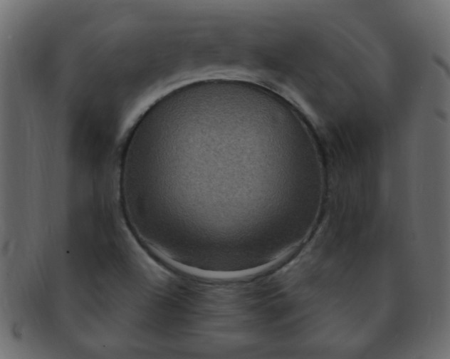 X0000091731504200709071447