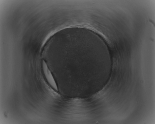 X0000091731506200709071447