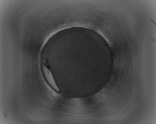 X0000091731508200709071447