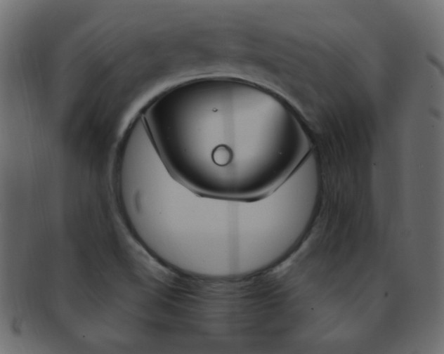 X0000091731510200709071447