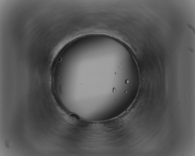 X0000091731511200709071447