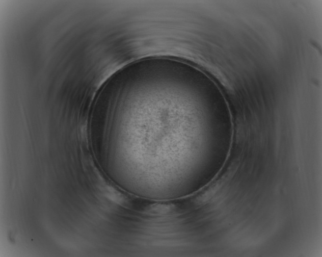 X0000091731513200709071447