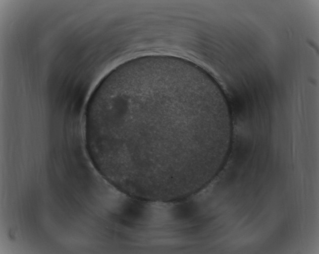 X0000091731514200709071447