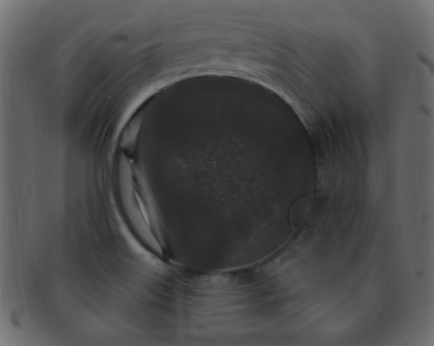 X0000091731515200709071447