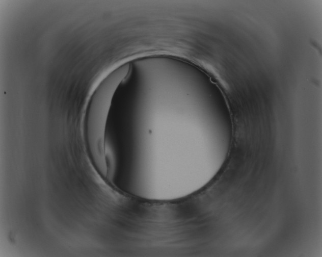 X0000091731516200709071447