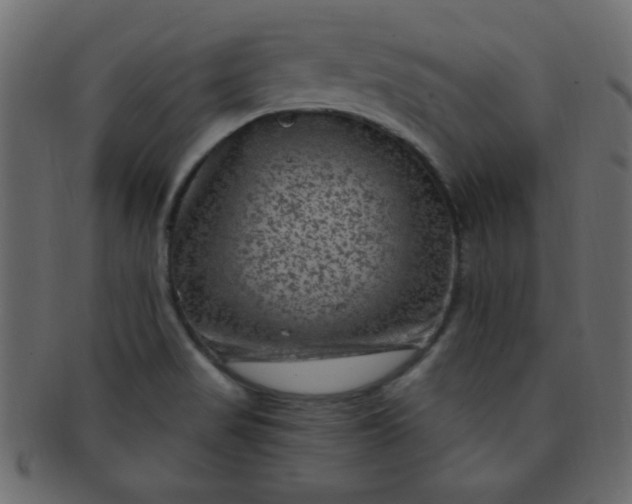 X0000091731517200709071447