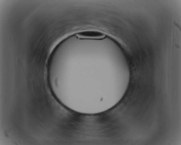 X0000091731518200709071447