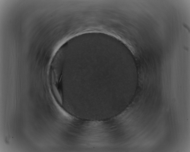 X0000091731519200709071447