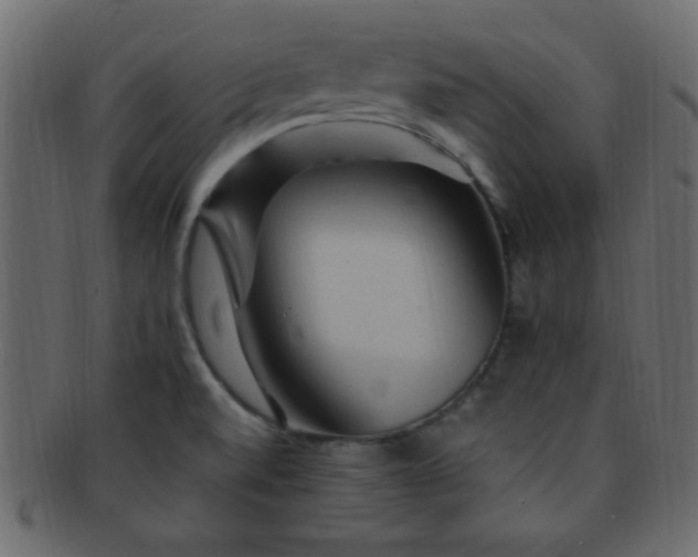 X0000091731520200709071447