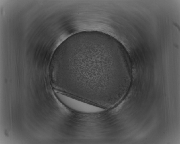 X0000091731521200709071447