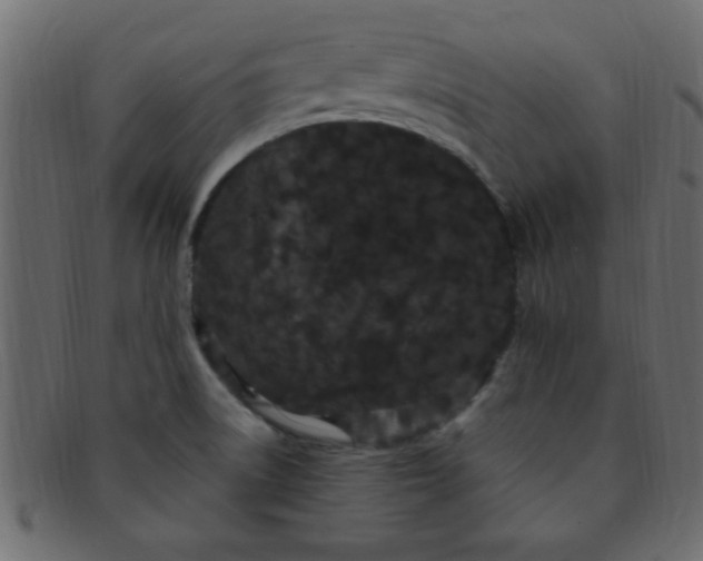 X0000091731522200709071447