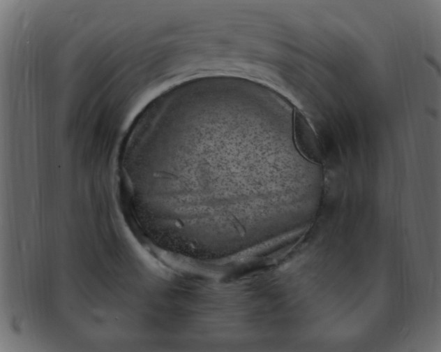 X0000091731523200709071447