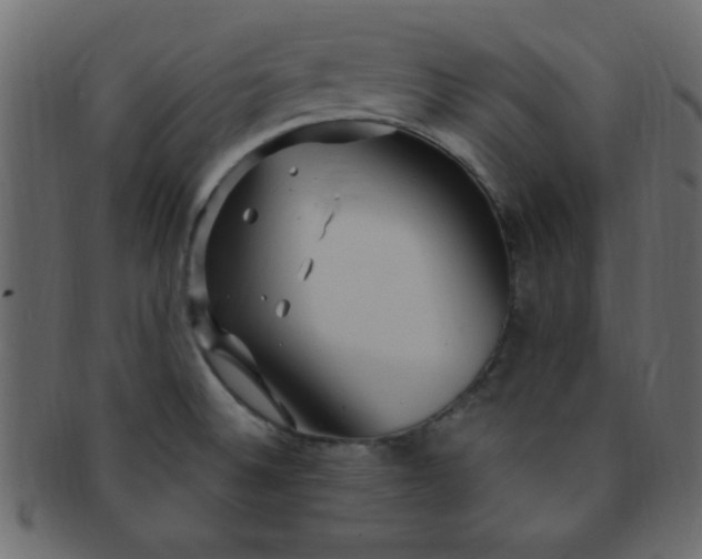 X0000091731524200709071447