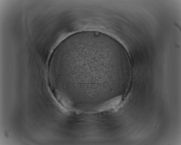 X0000091731525200709071447